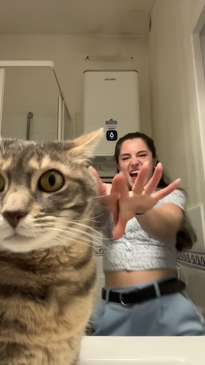 @Le_drama.cat 🇫🇷