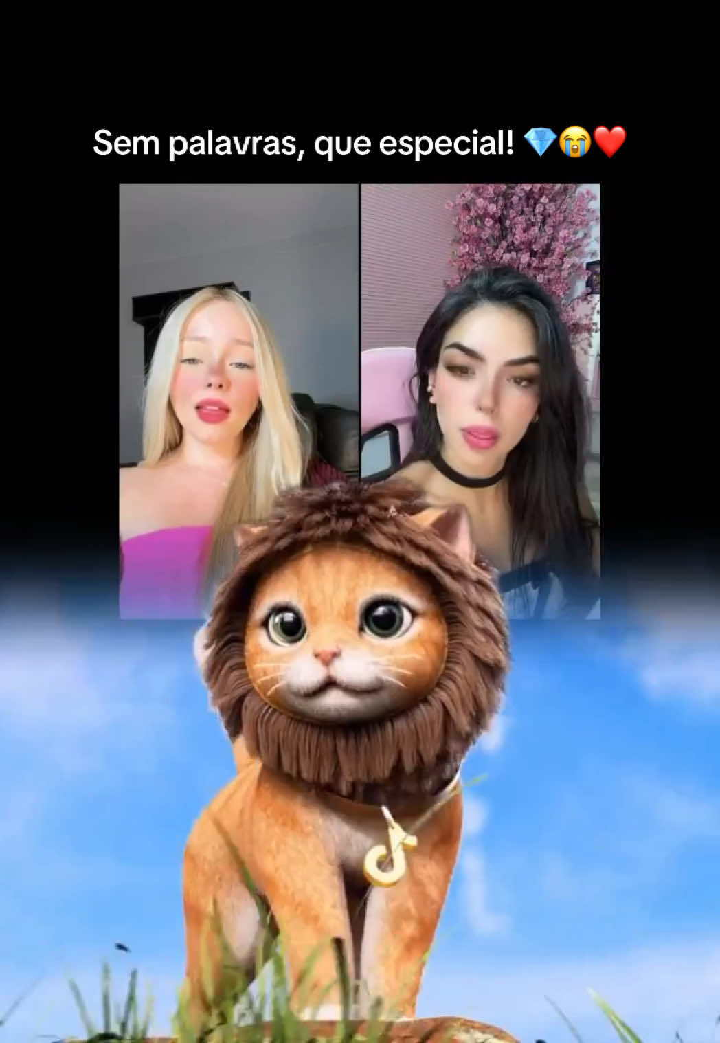 @Marcela Bittencourt