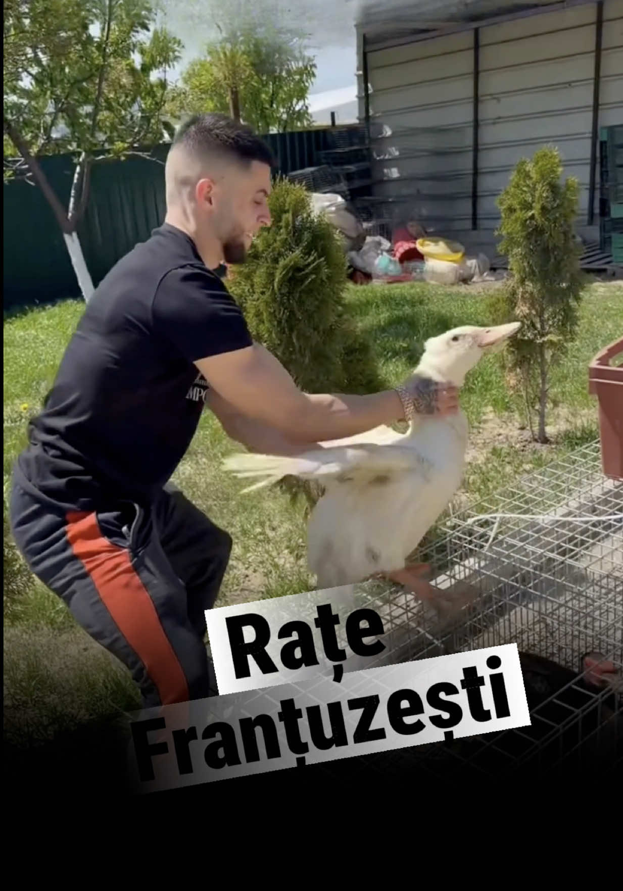 @daebator