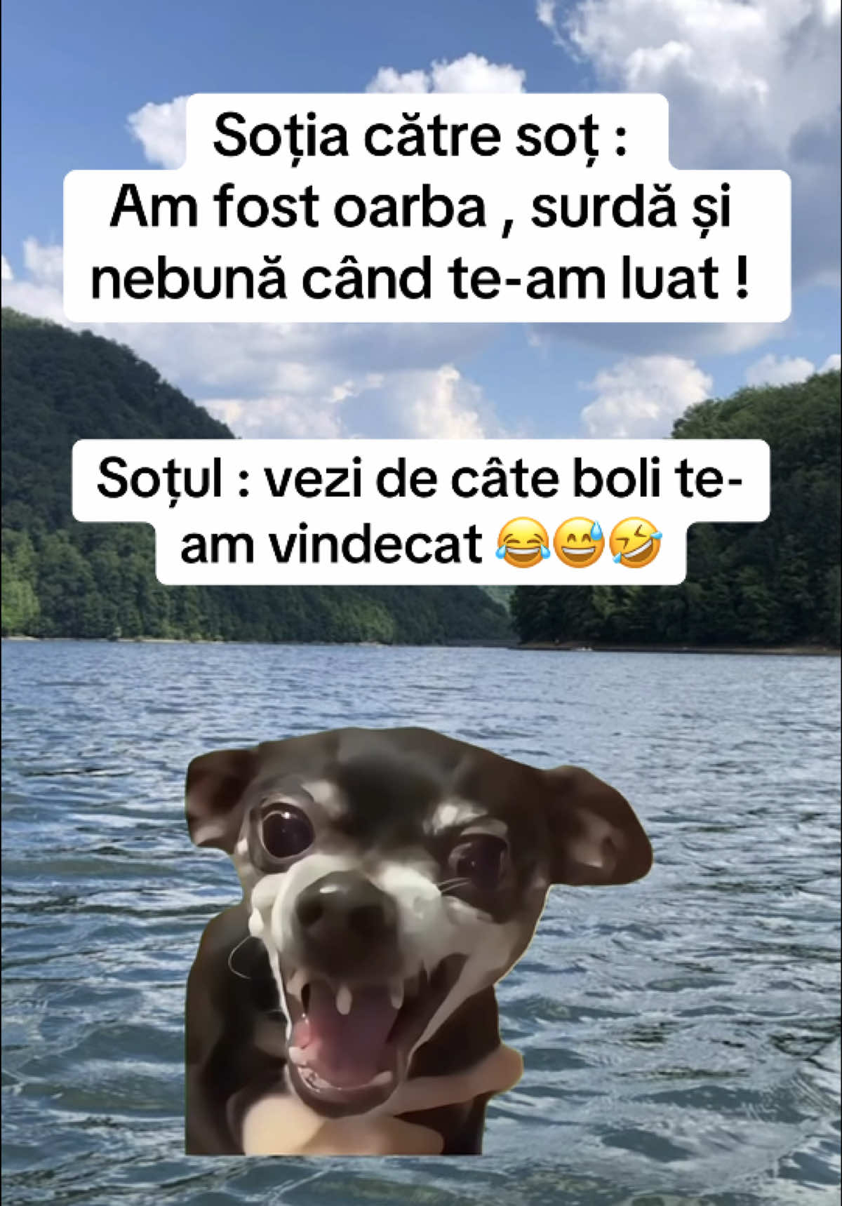 @Ionut17