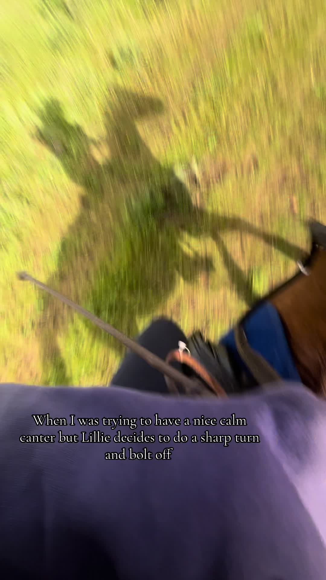 @My8hooves