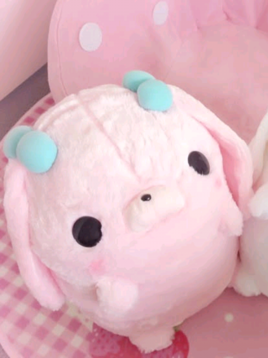 @ʚꩇׁׅ֪݊ ꪱׁׁׁׅׅׅ᥊ׁׅׅ꯱ꪱׁׁׁׅׅׅ˚ɞ