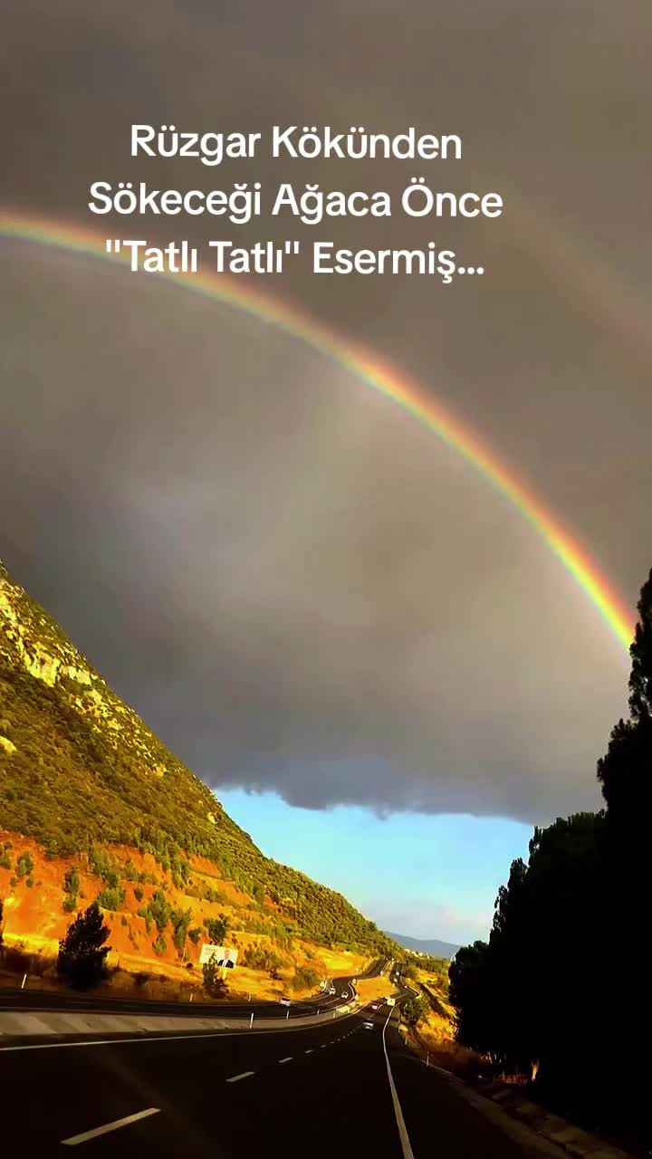 @✨️🇹🇷҉͜͡✭Rüzgar68🇹🇷҉͜͡✭✨️