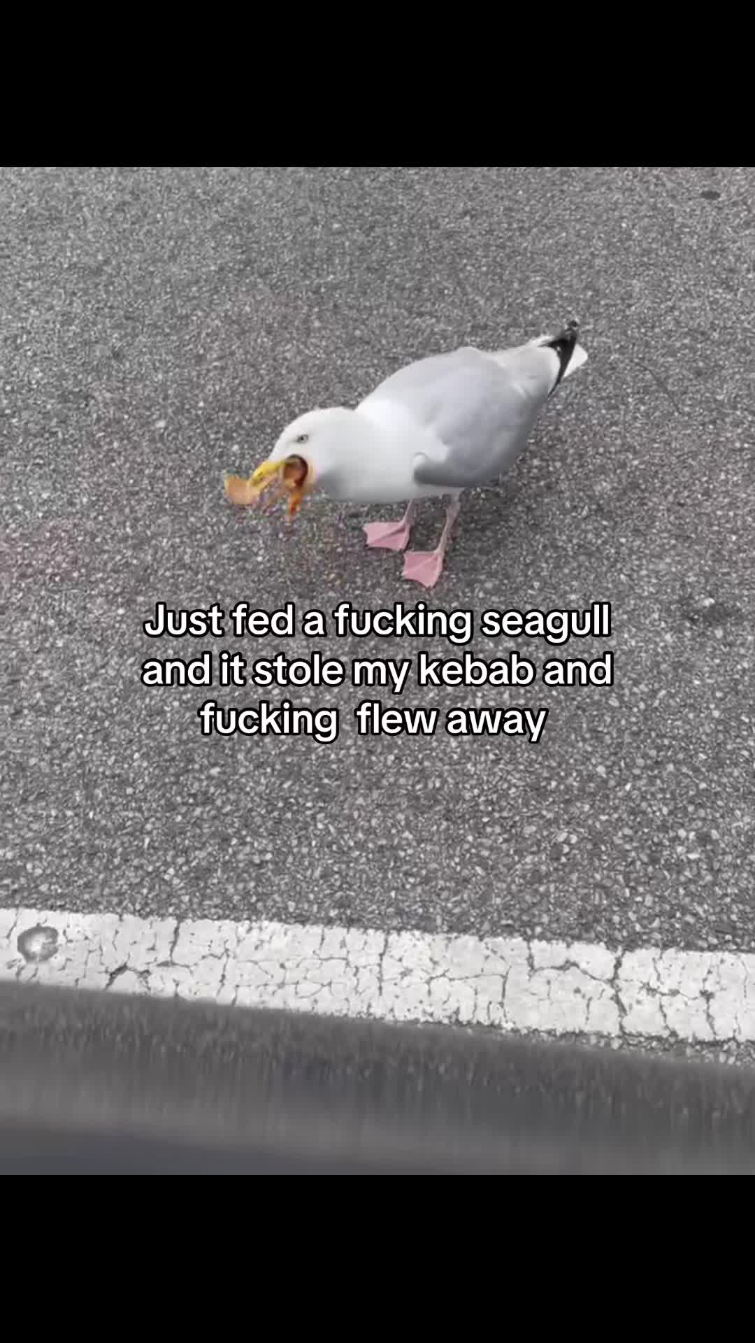 @*ੈ✩‧₊˚༺𝓔𝓵𝓵𝒂༻*ੈ✩‧₊˚