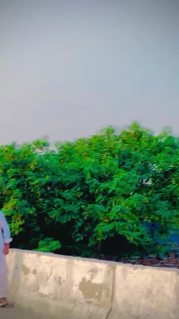 @▄︻デU̷z̷a̷i̷r̷ ̷k̷h̷a̷n̷══━一 ⋆
