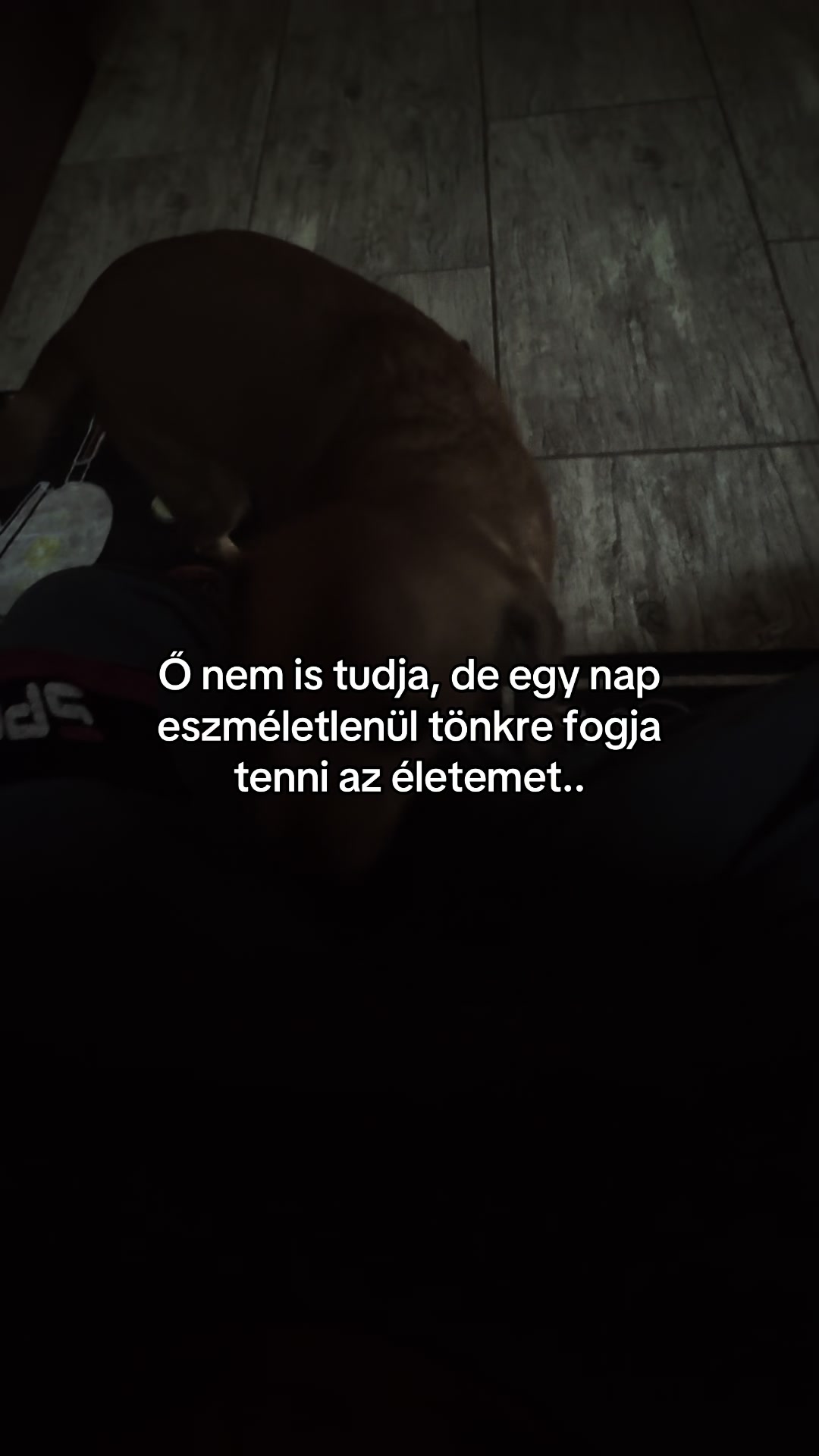 @EQ
