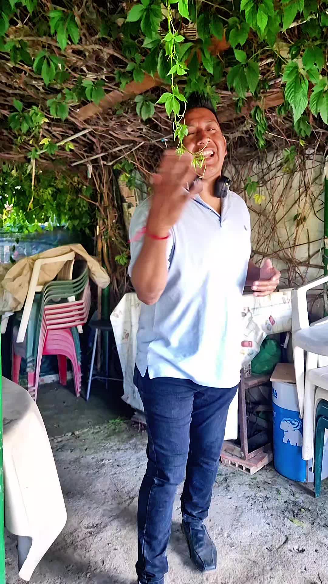 @yomismito2020