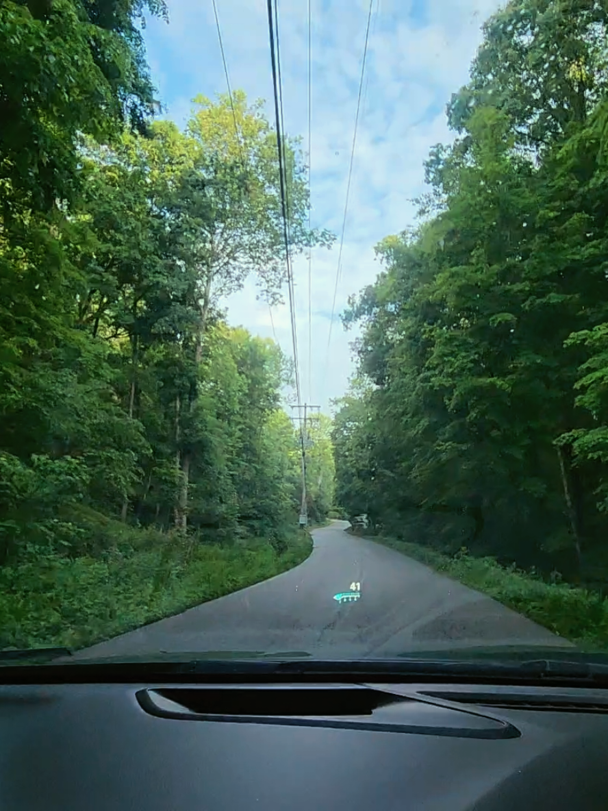 @Forte 🌳🌲🌴 ⛰️