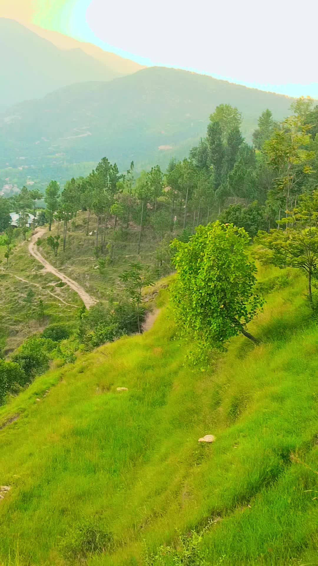 @Nawaz 01