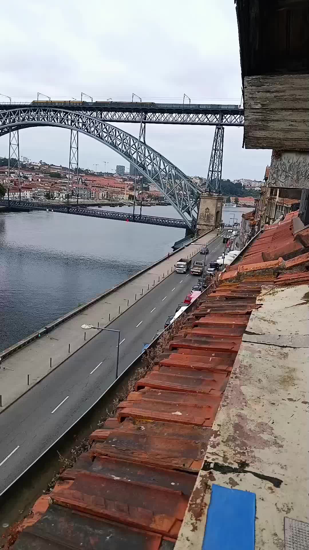 @porto ribeira