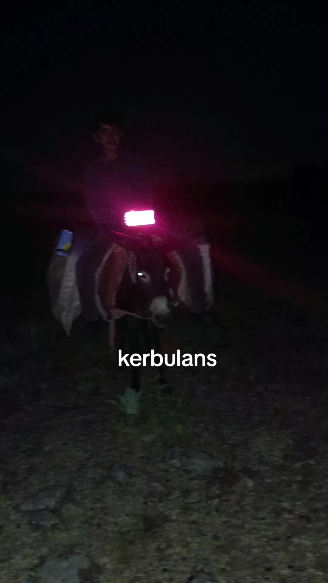 @Süleyman21 🐊🐊