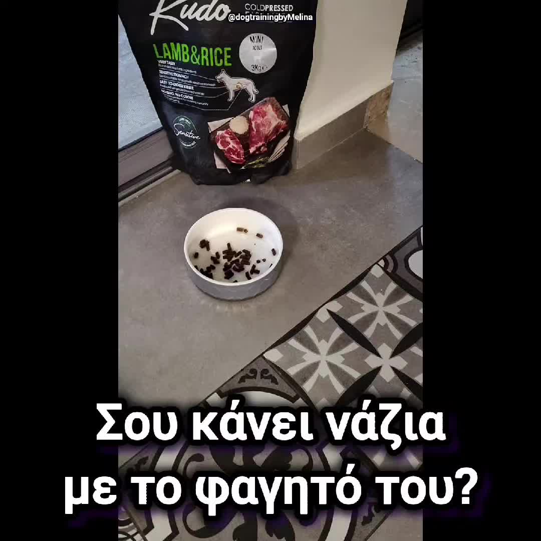 @dogtrainingbymelina
