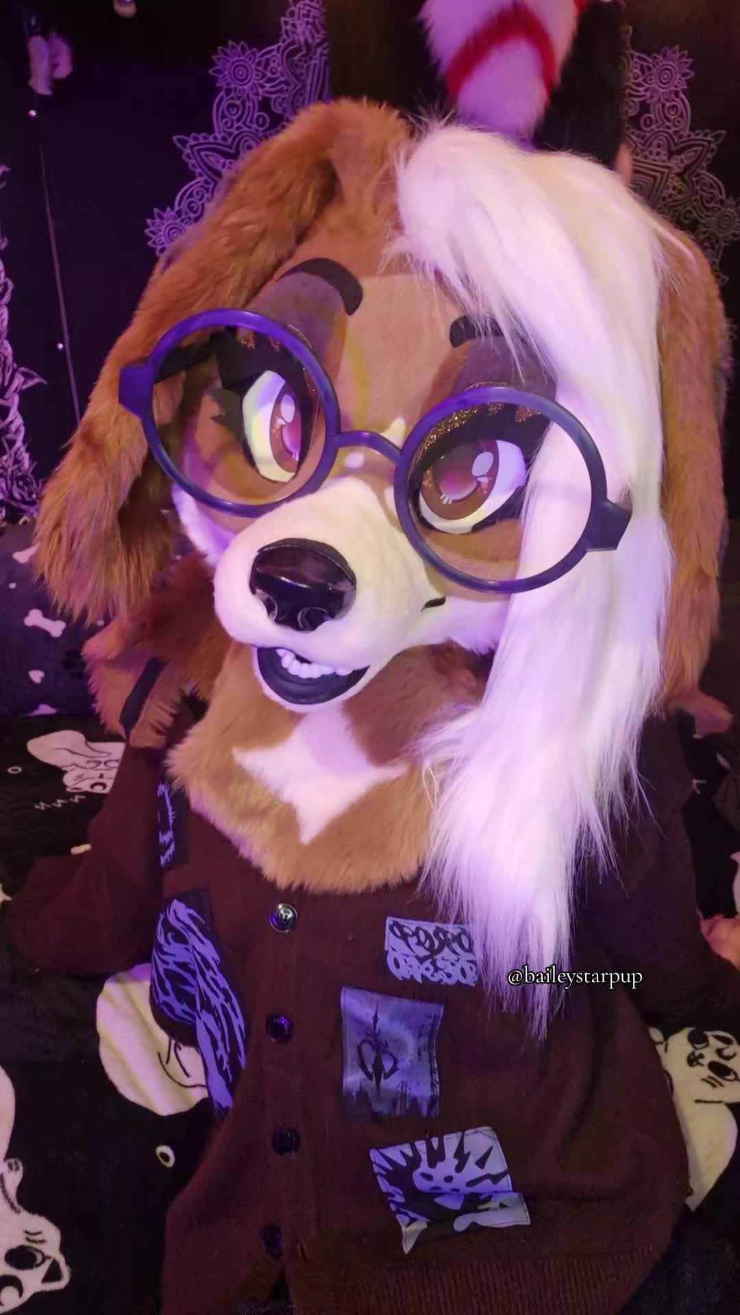@Bailey (lilpixiekitten)