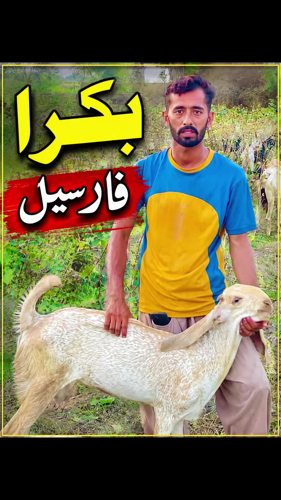 @M akram 786
