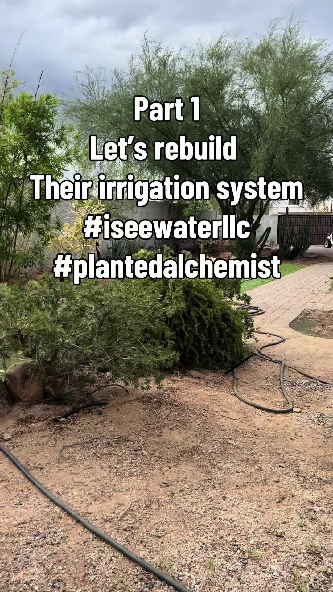 @PlantedAlchemistFitness&Qi