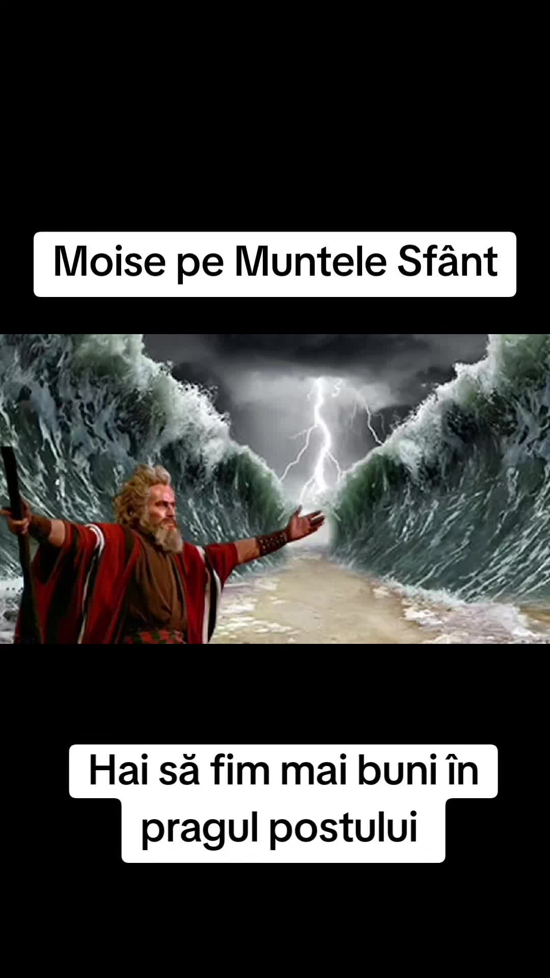 @muzica de calitate