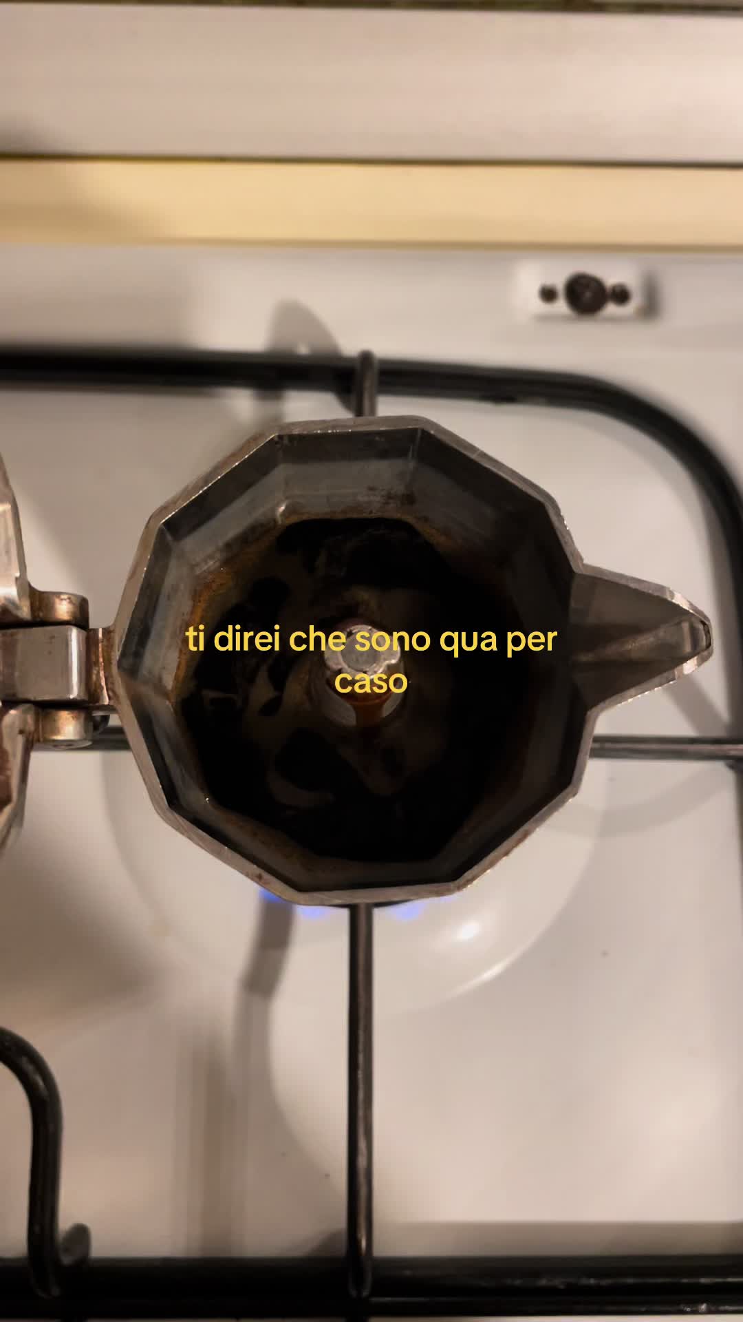 @Gaia De Biasio