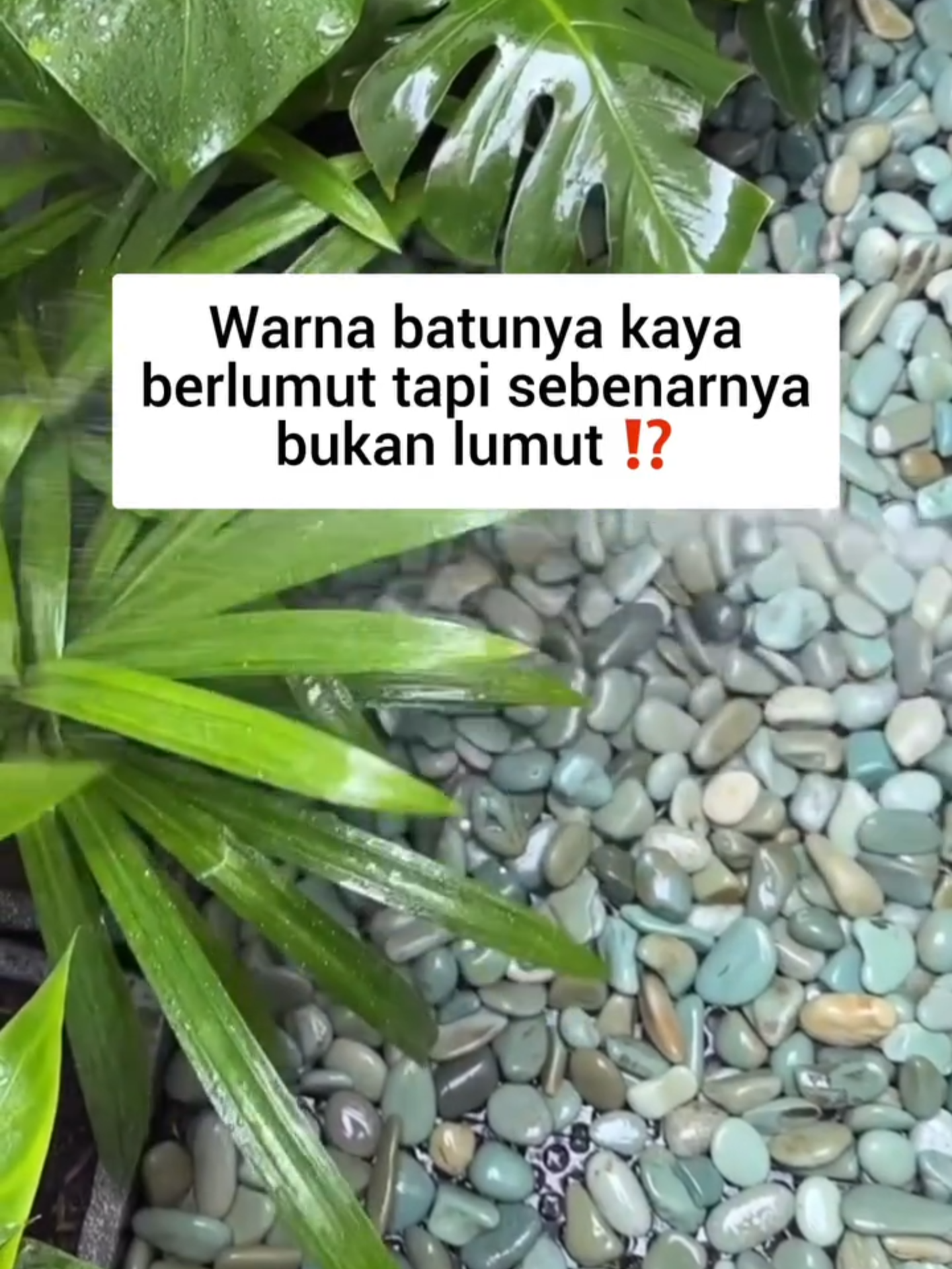 @Batu Alam Jakarta