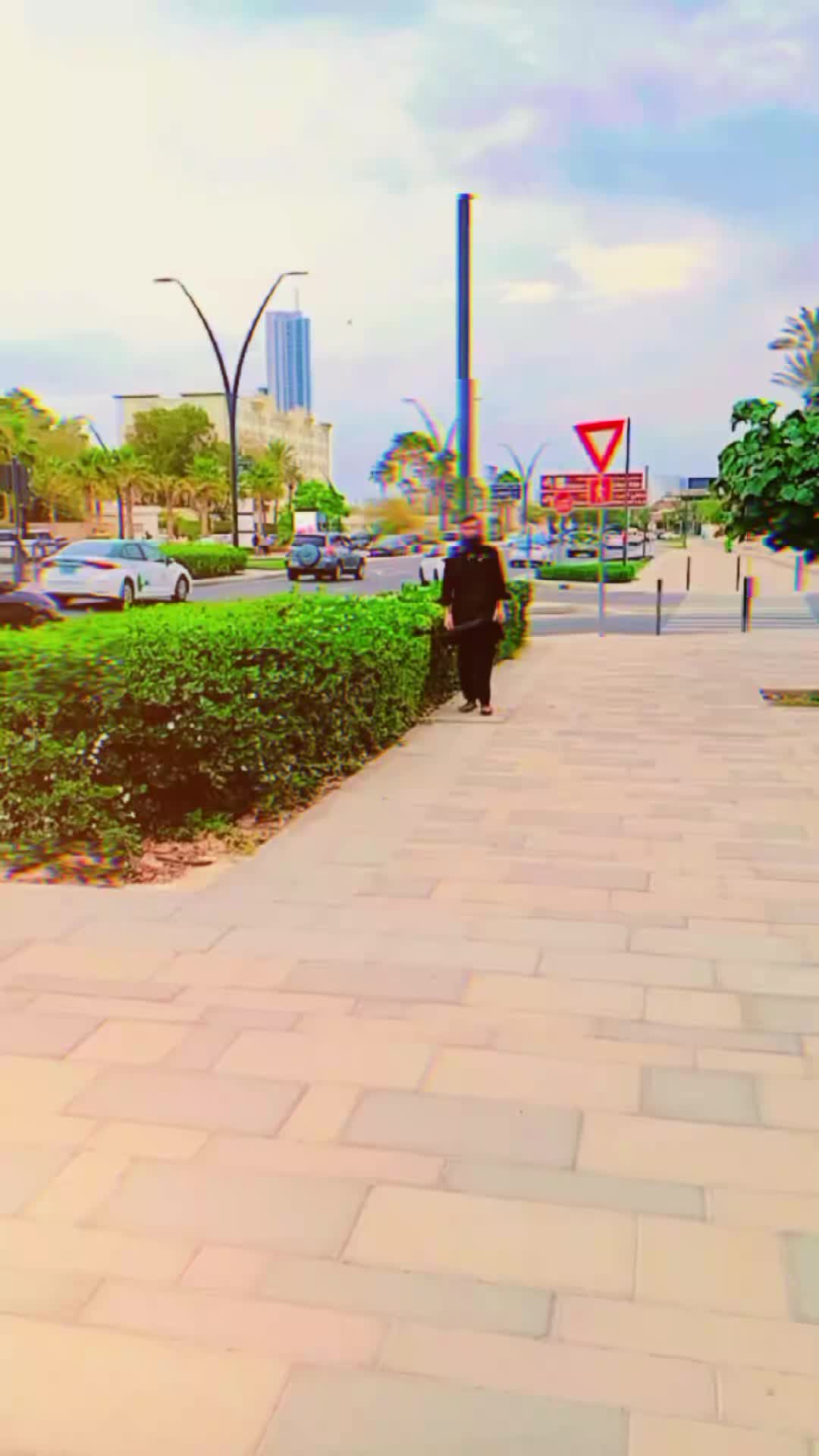 @Dilawer Zaman 804