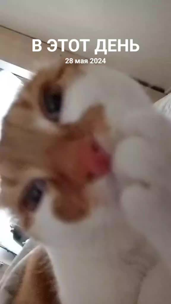 @popul2281