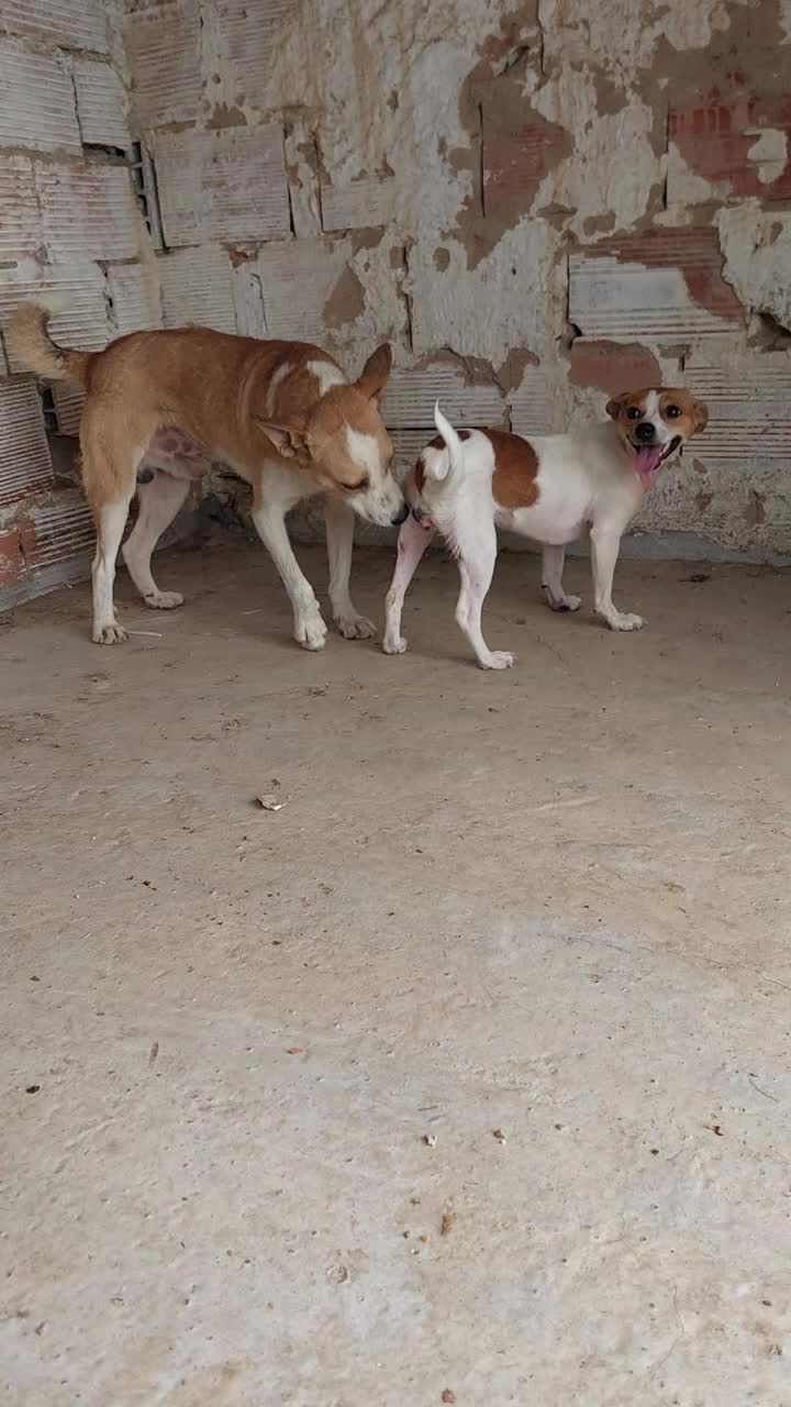 @ehehdhdhd