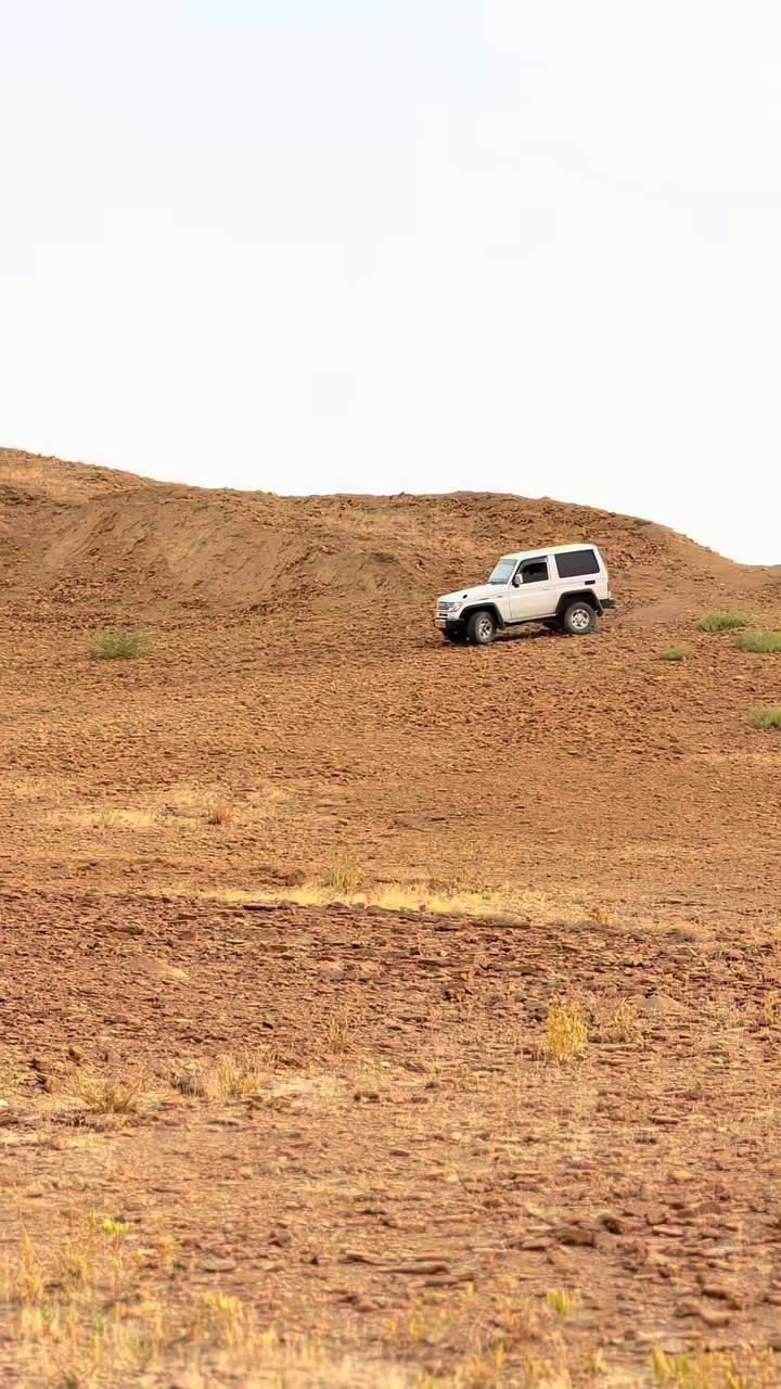 @جمالي طارق