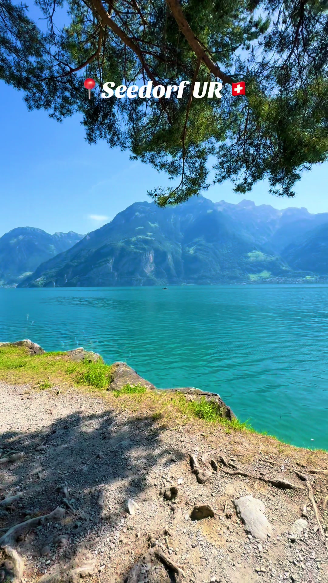 @swiss_alps