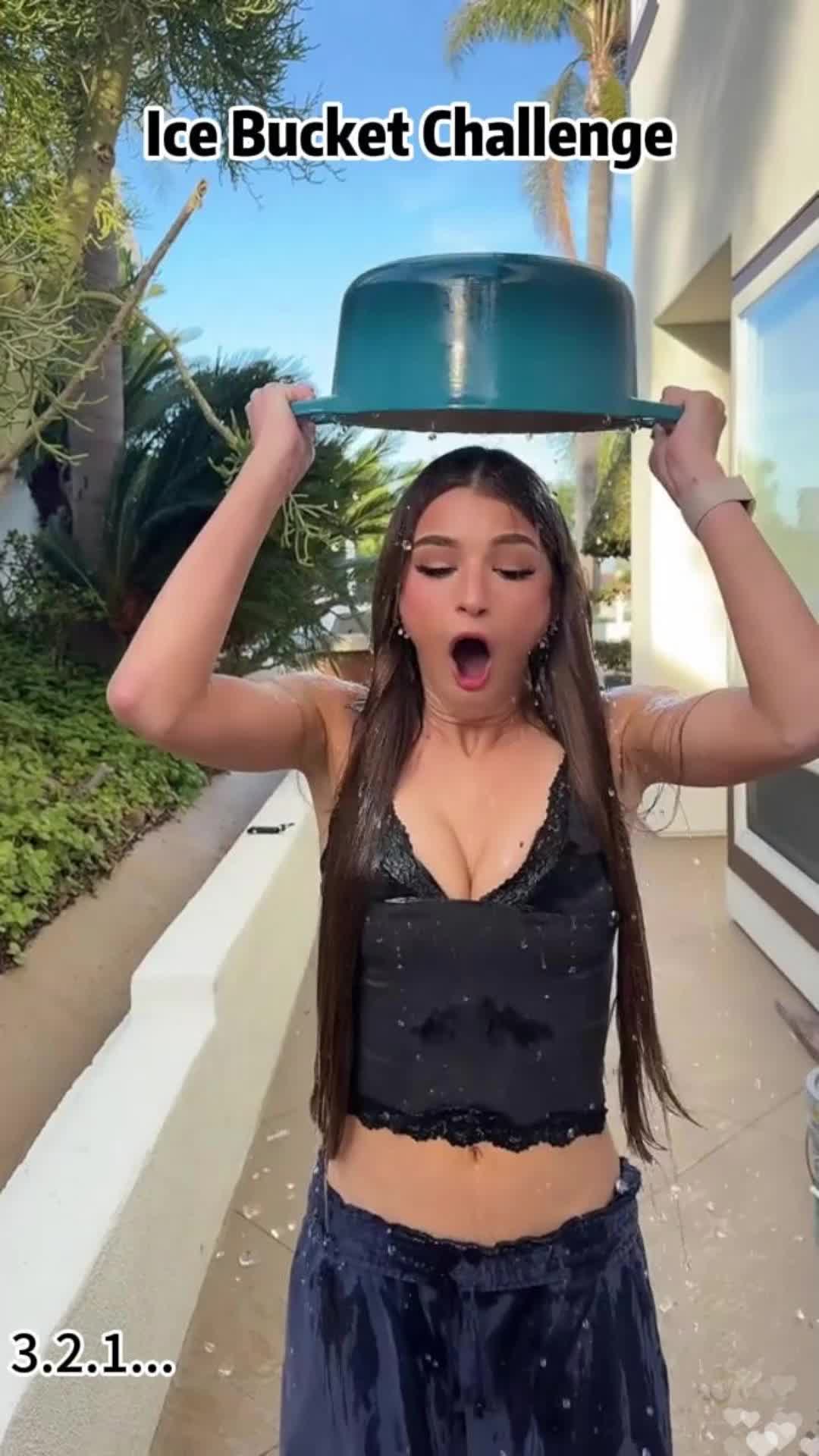 @funnypetsoftiktok2