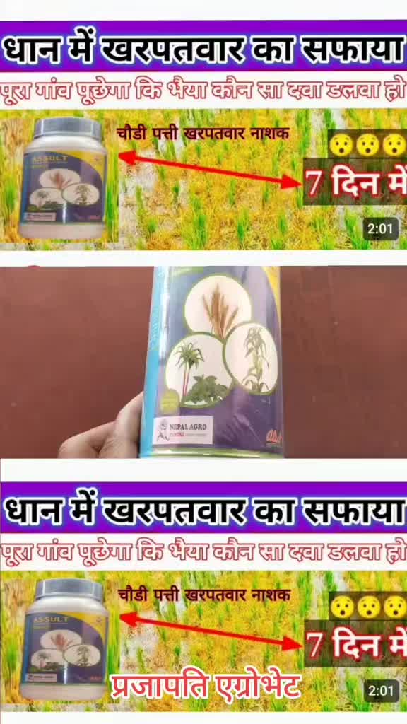 @Prajapati Agro Vet