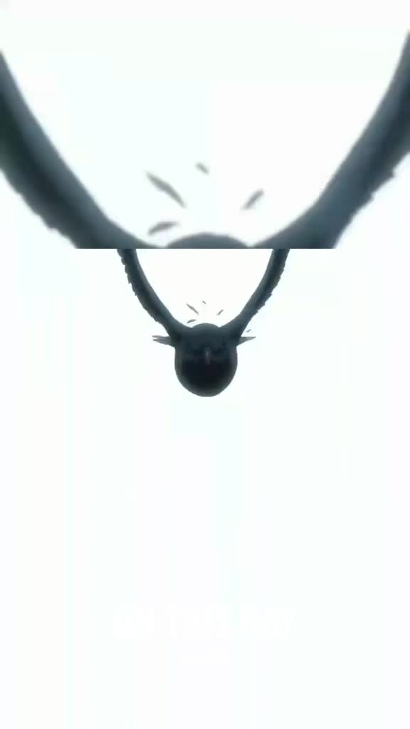 @SkyHighDiaz