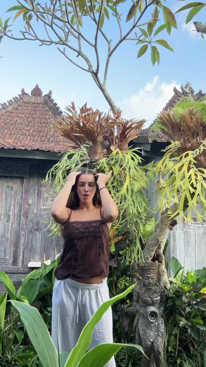 @albita