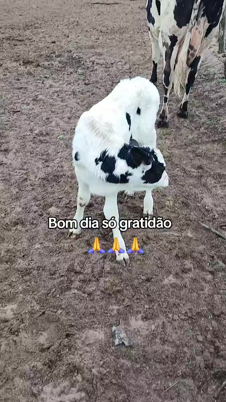 @jocriador