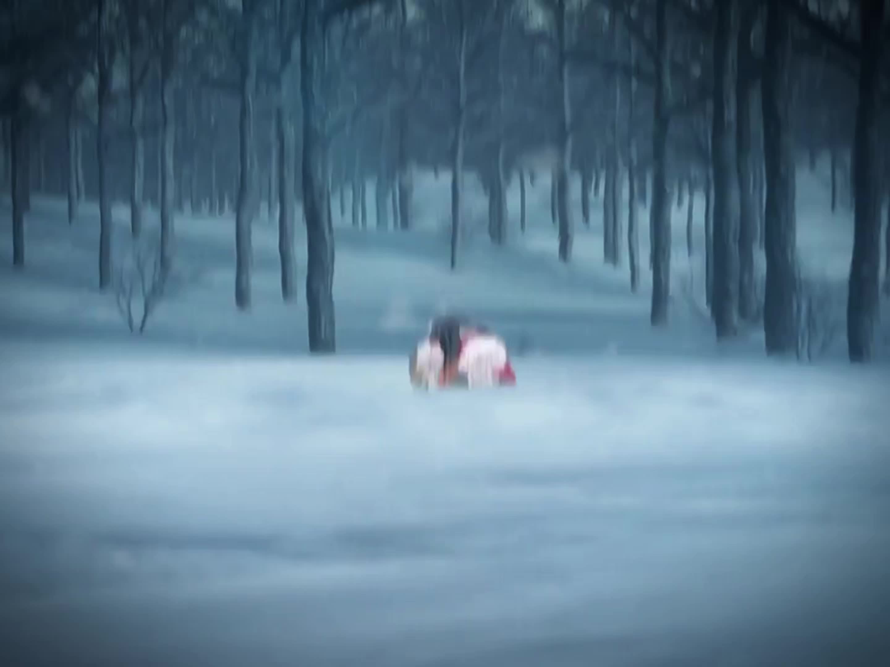 @shadowwframes