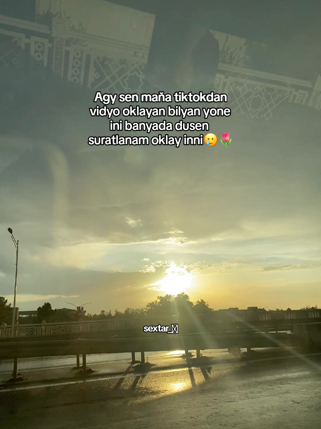 @sextar🇹🇲