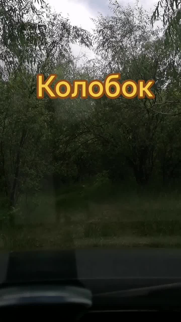@seregabos