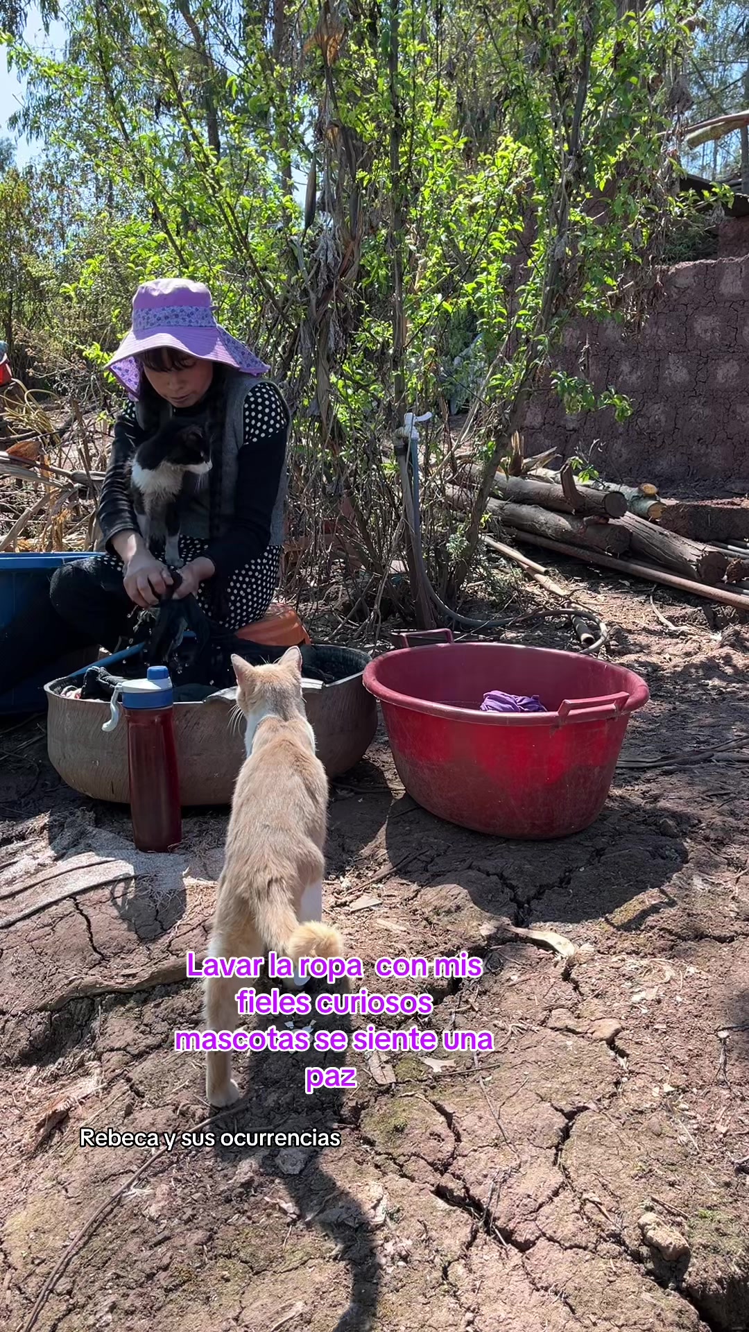 @🐈Rebeca y sus ocurrencias