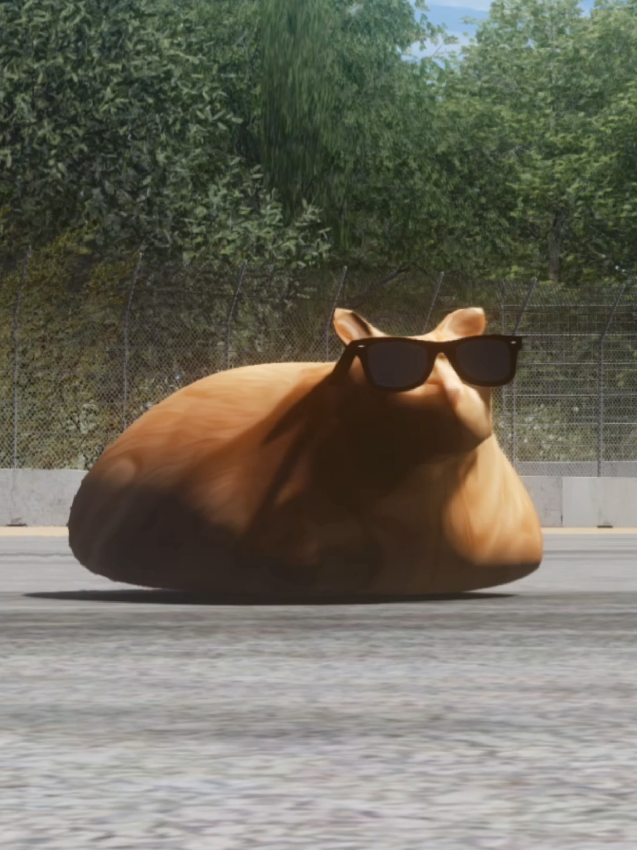 @Pablo the Race Cat