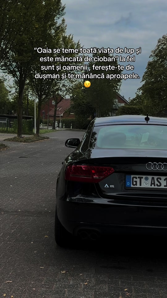 @Ștefănuţ Lucian