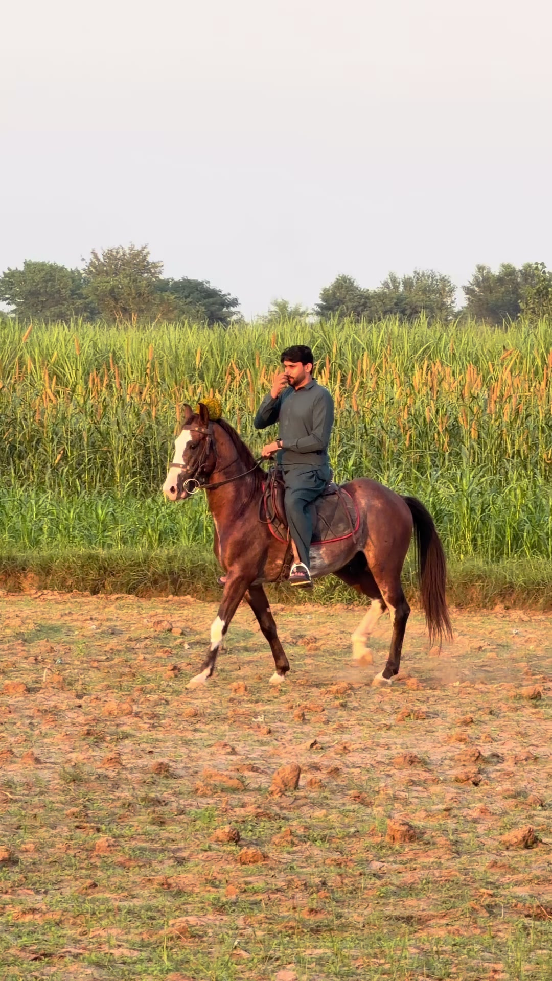 @CH ADEEL GUJJAR (CAG