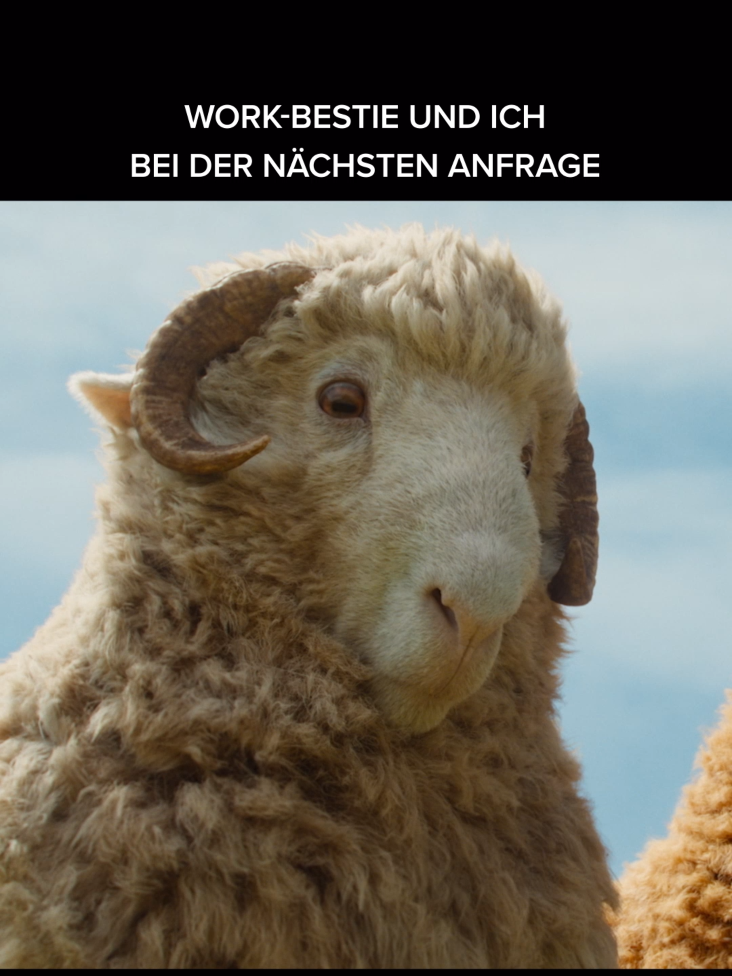 @sonypicturesgermany