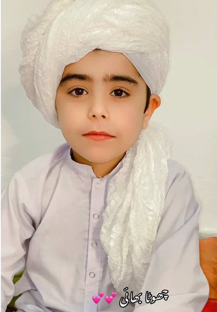 @Wali Gull 215 Family