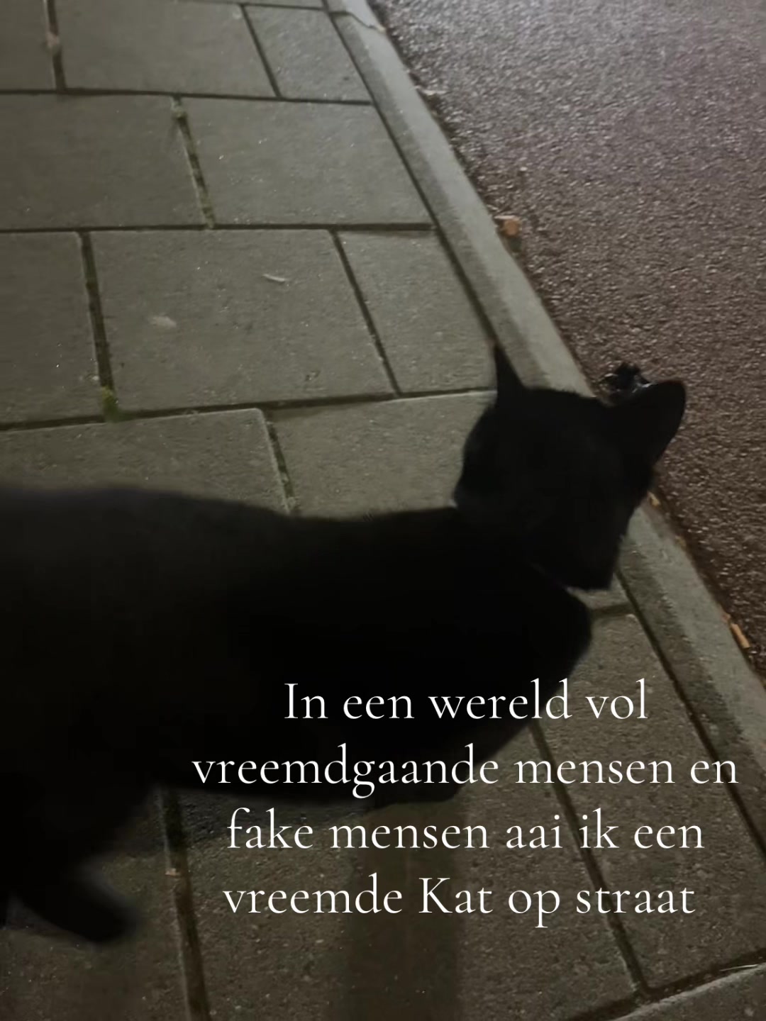 @𓍯𓂃𓏧♡