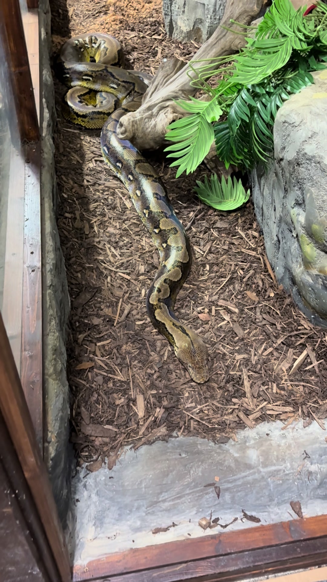 @SonnyCherRetics