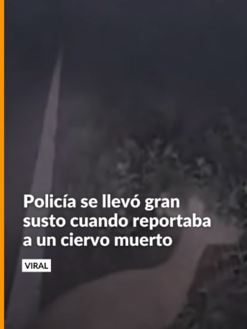 @Noticias Caracol