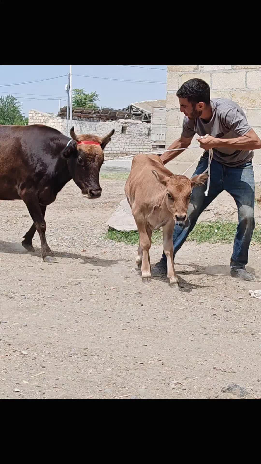 @baba477