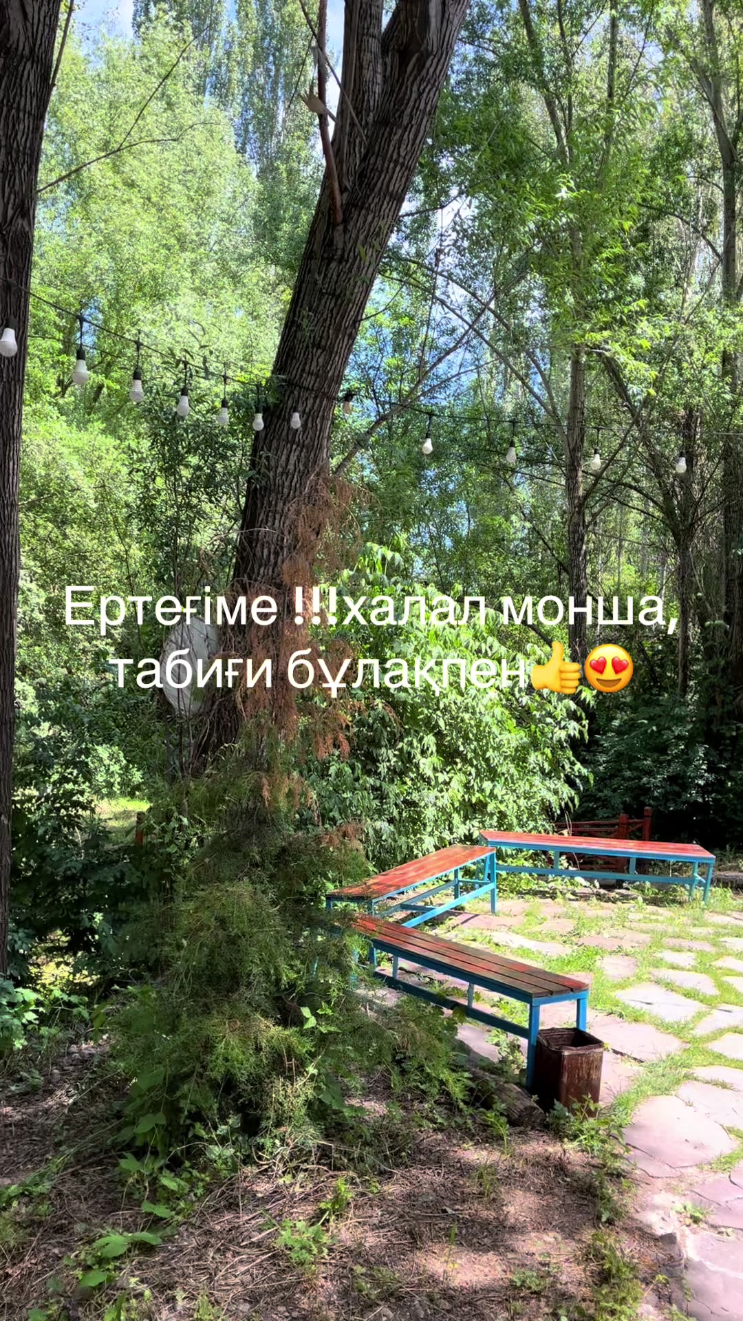 @Koksaiak.demalysaimagy