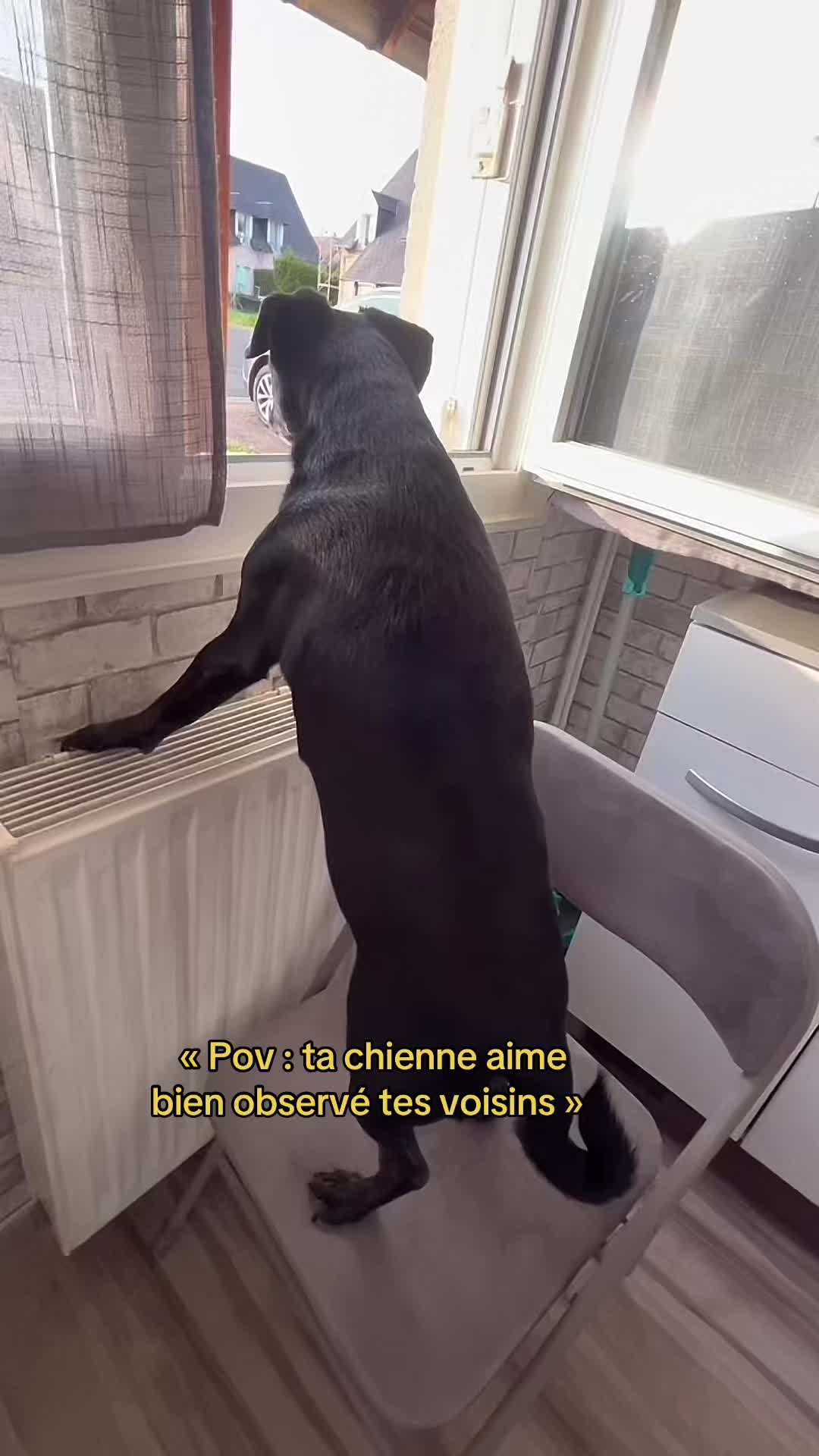 @C H E Y E N N E
