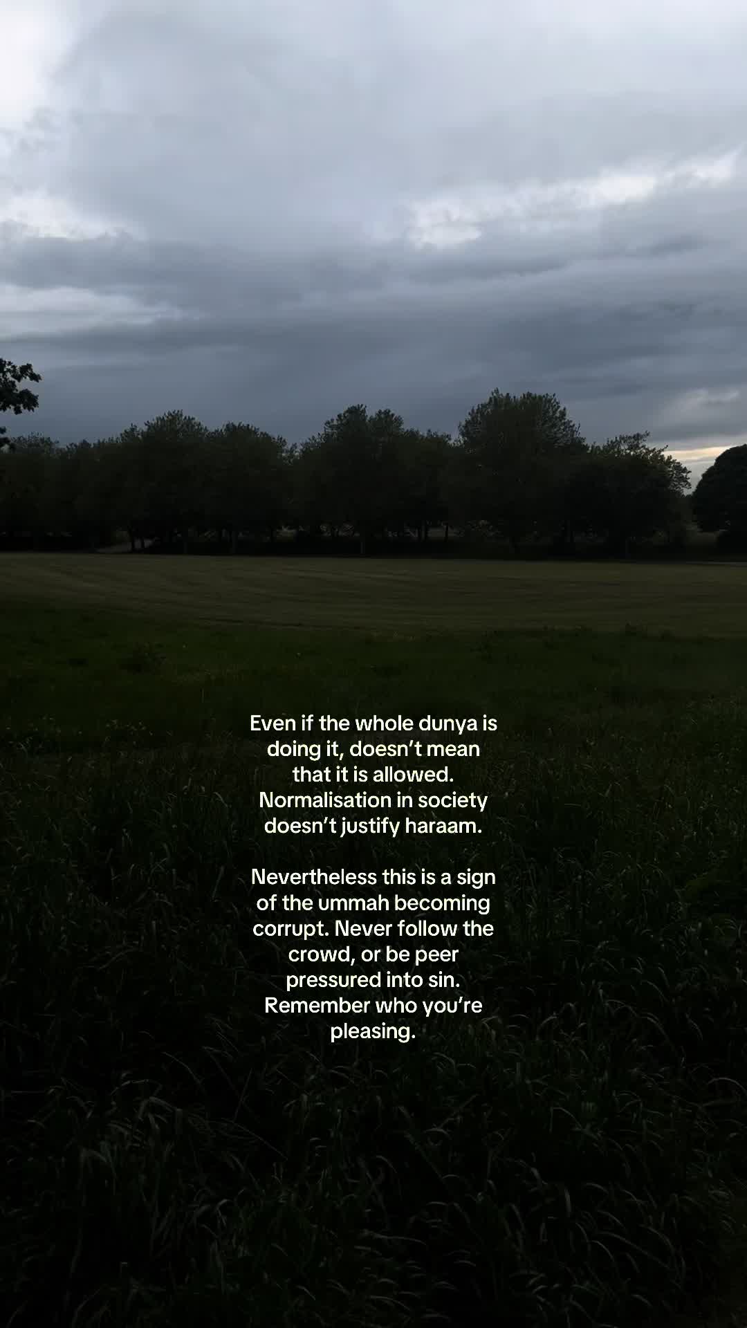 @No Doubt🕊️