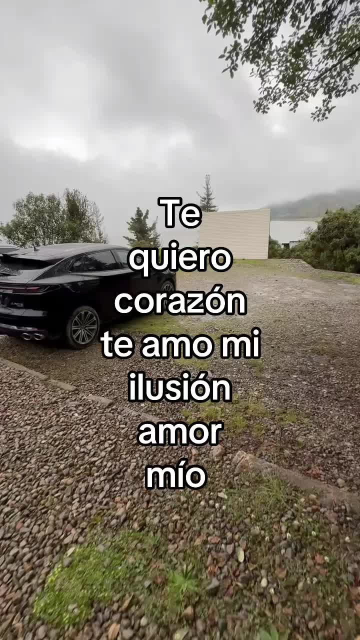 @Franz Alexander
