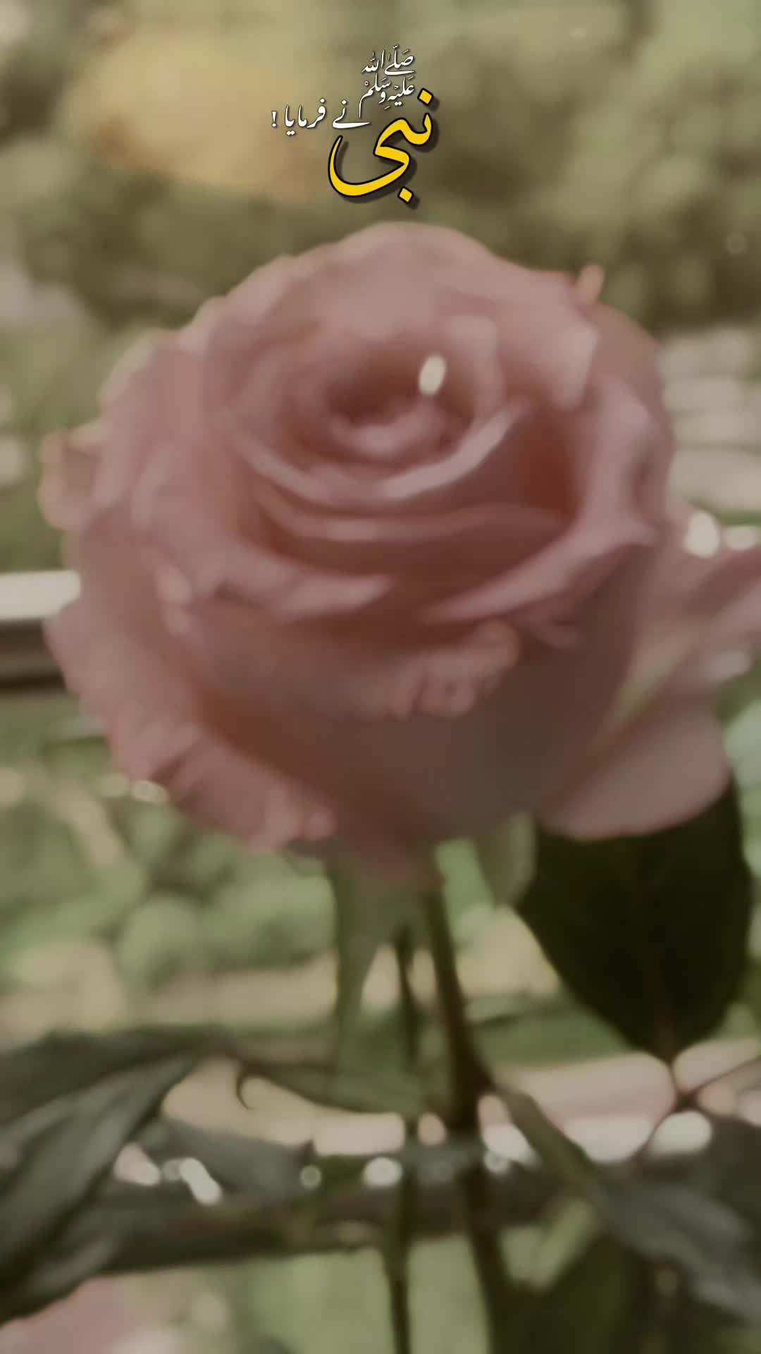 @MaSuMa  BiBi